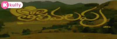 Blurred Field With Kulfy GIF