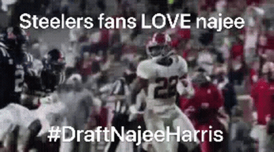 Blurred Football Game Steelers Fans Love Najee GIF