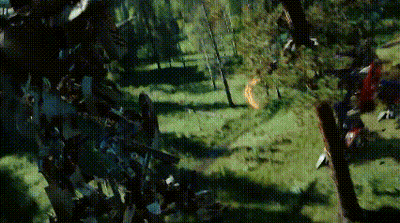 Blurred Forest With Trees GIF