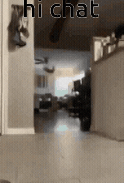 Blurred Hallway Saying Hi Chat GIF