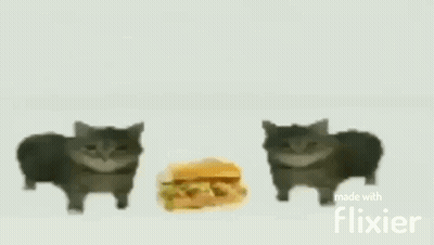 Blurred Image Made With Flixier GIF
