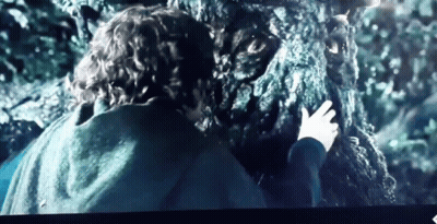 Blurred Image Saying Exams GIF