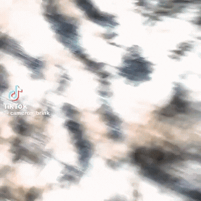 Blurred Leopard Print With TikTok Logo GIF