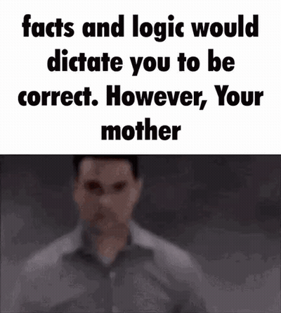 Blurred Man Facts And Logic Would Dictate You To Be Correct However Your Mother GIF