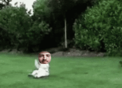 Blurred Man Laying On Grass GIF