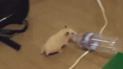 Blurred Person Face And Water Bottle GIF