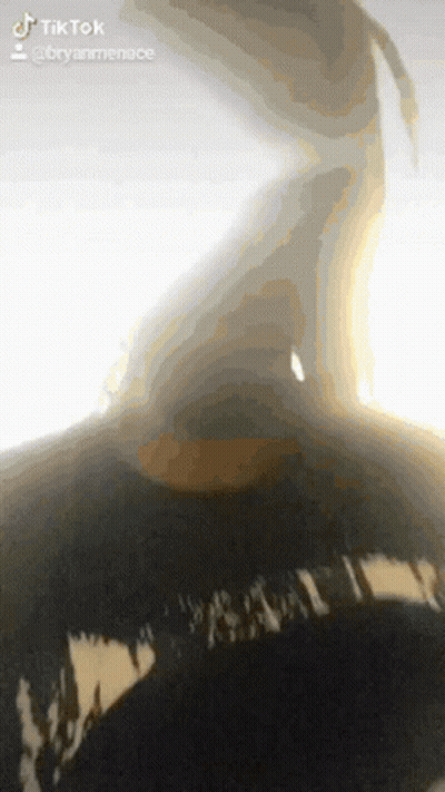 Blurred Person Face With TikTok Watermark GIF