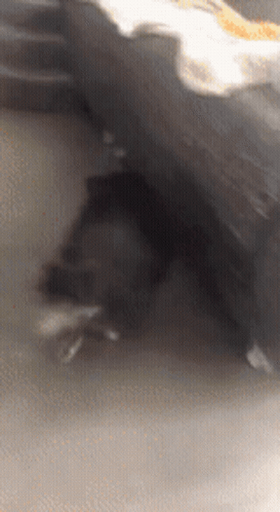 Blurred Person Feet GIF