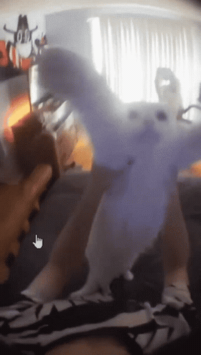 Blurred Person Holding Stuffed Animal Hand Pointing GIF