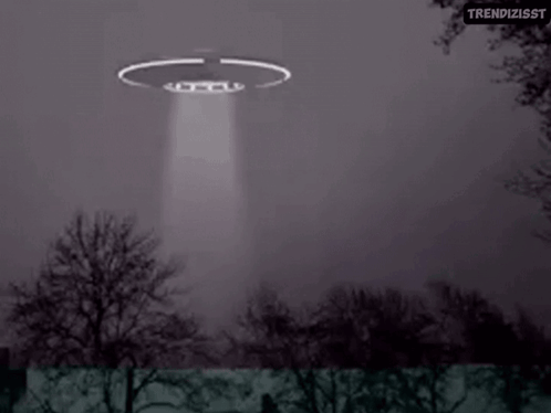 Blurred Person In Car Get In Now GIF