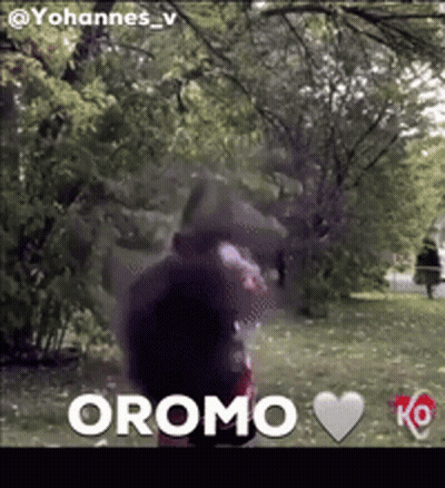 Blurred Person In Park Oromo GIF