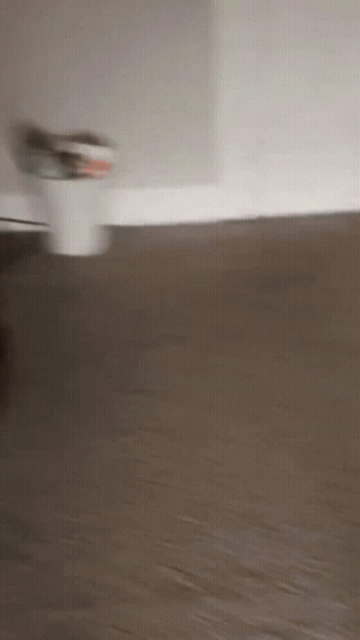 Blurred Person Standing On Carpeted Floor GIF