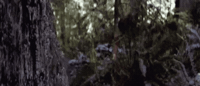 Blurred Person Walking Through Forest GIF