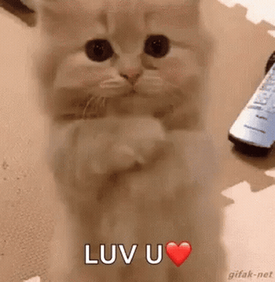 Blurred Person With In Addition It Is Also Pa Friday GIF