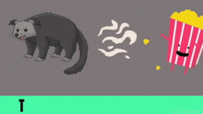 Blurred Raccoon Standing On Tiled Floor GIF