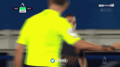 Blurred Referee During Soccer Game GIF