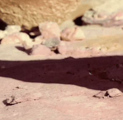 Blurred Rocky Area With Stones GIF