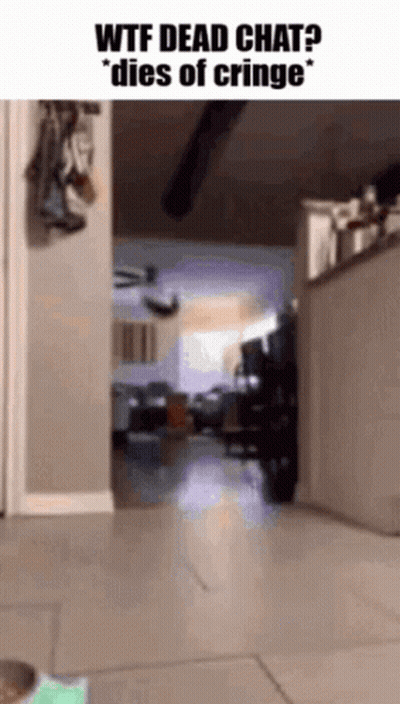 Blurred Room WTF Dead Chat Dies Of Cringe GIF