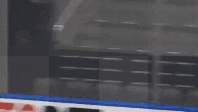 Blurred Sign Saying Dachshund GIF