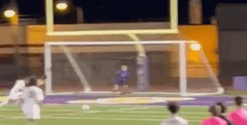 Blurred Soccer Game With Goalkeeper GIF