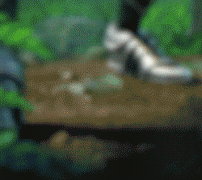 Blurred Sword In Jungle GIF