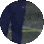 Blurred Tree Inside Circle Sticker