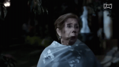 Blurred Woman With CN Logo Background GIF