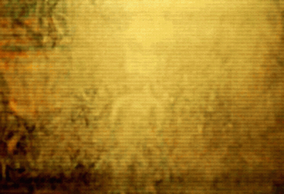 Blurred Yellow Background With Lines GIF