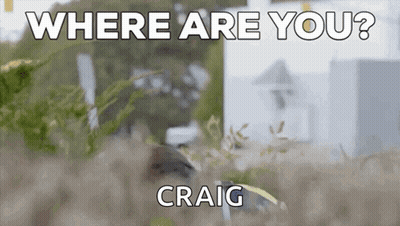 Blurry Bird Where Are You Craig GIF
