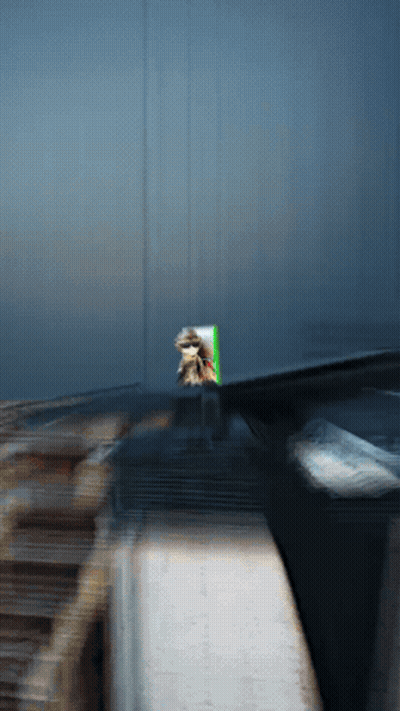 Blurry Box With Green Coca Cola Sticker GIF