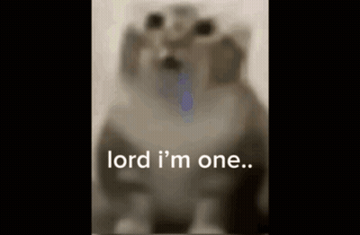 Blurry Cat Lord I'm One GIF