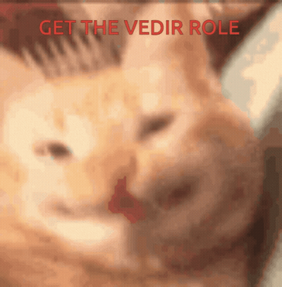Blurry Cat Saying Get The Vedir Role GIF