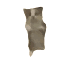 Blurry Cat Standing On Hind Legs Sticker