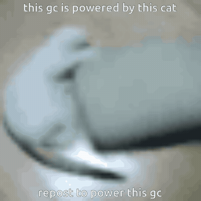 Blurry Cat This GC Is Powered By This Cat