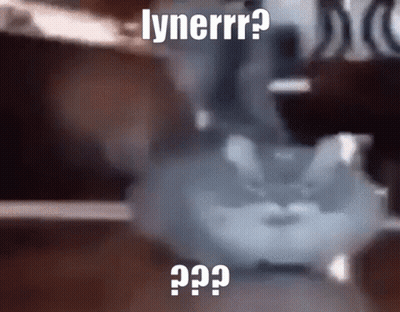 Blurry Cat With Lynerrr GIF
