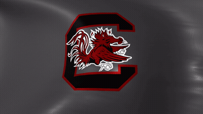 Blurry Crowd Dancing At Party GIF