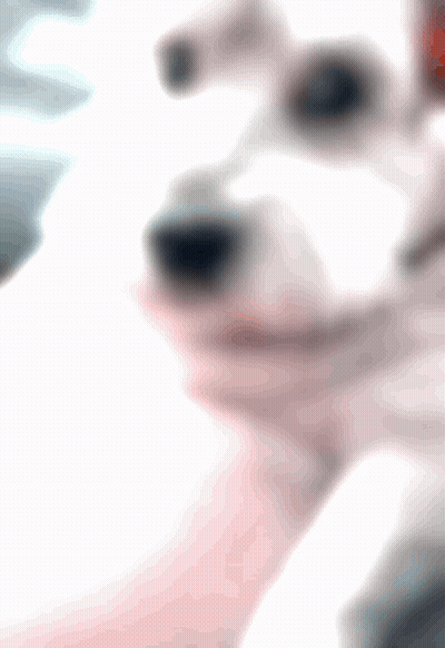 Blurry Dog Face With Letter S GIF