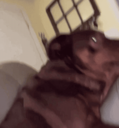 Blurry Dog Laying On Bed GIF