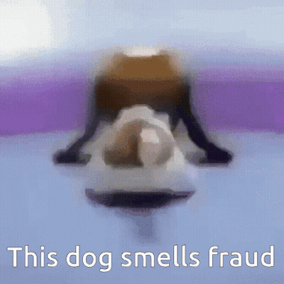 Blurry Dog This Dog Smells Fraud GIF