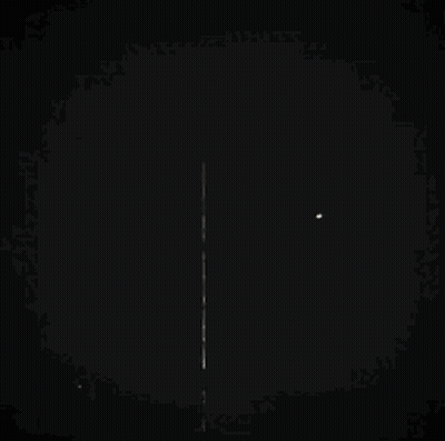 Blurry Green And White Background GIF
