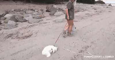 Blurry Hand Holding Remote Control In Dark Room GIF