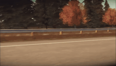 Blurry Highway With Trees GIF
