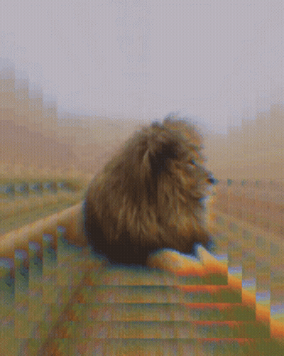 Blurry Lion Laying On Fence GIF