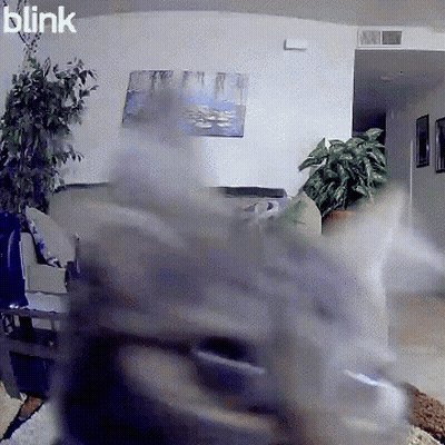 Blurry Living Room With Word Blink GIF