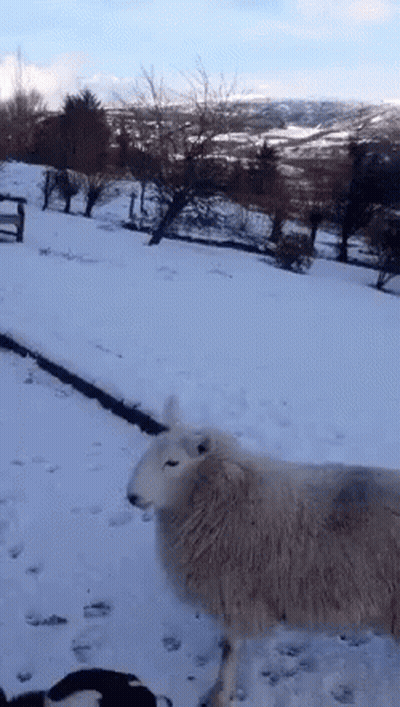 Blurry Man's Back GIF