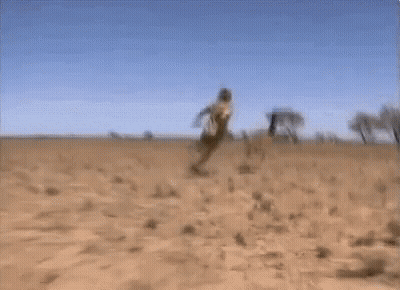 Blurry Man Walking Through Desert GIF