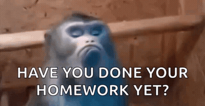 Blurry Monkey Have You Done Your Homework Yet GIF