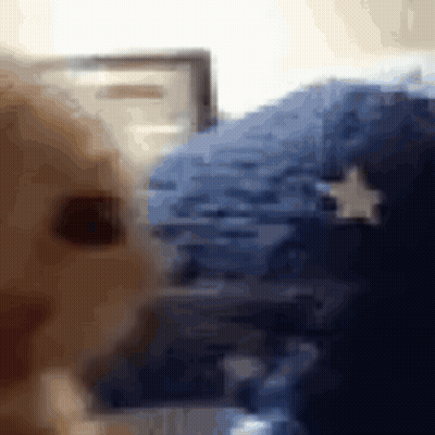 Blurry Person Face With Star Background GIF