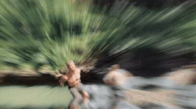 Blurry Person Holding Plant GIF