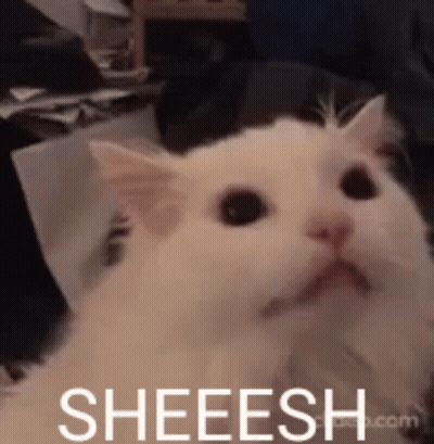 Blurry Person Imgflip GIF